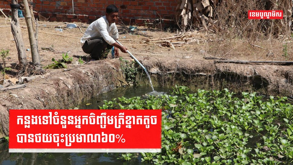 អ្នកចិញ្ចឹមត្រី