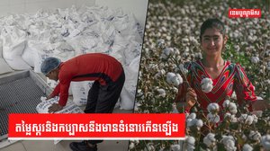 គ្រោះរាំងស្ងួត