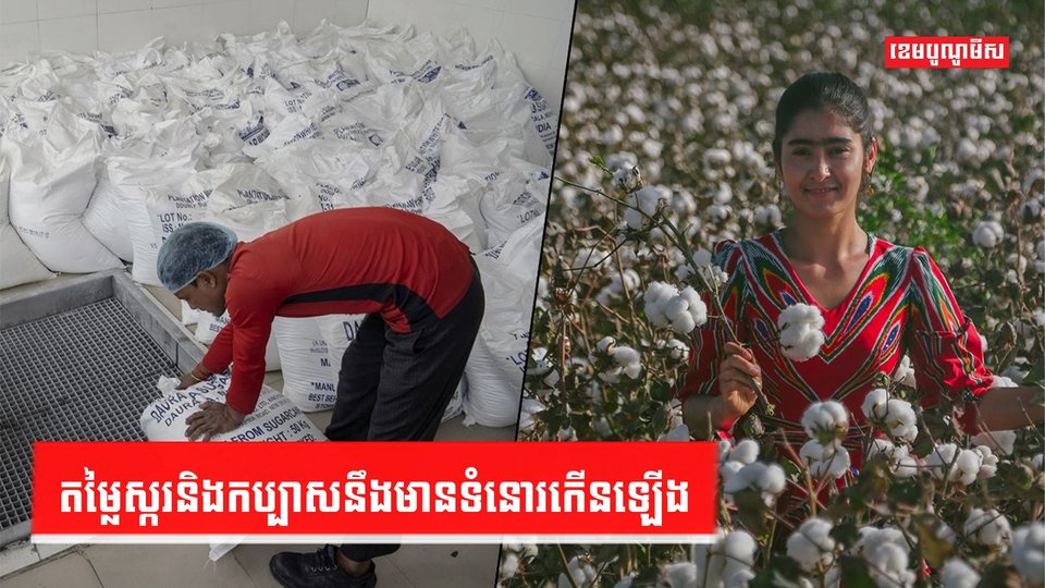 គ្រោះរាំងស្ងួត