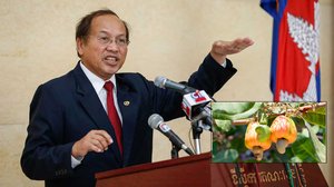 សេចក្តីព្រាងច្បាប់ស្តីពី គោលនយោបាយជាតិស្តីពីស្វាយចន្ទី ឆ្នាំ២០២២-២០២៧ ត្រូវបានអនុម័ត