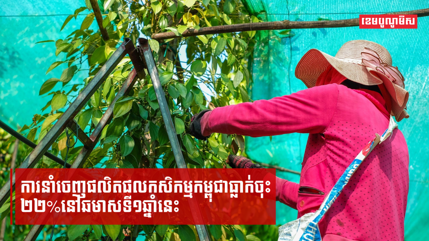 មន្ត្រីជាន់ខ្ពស់ក្រសួងកសិកម្មពន្យល់ពីហេតុផល នៃការនាំចេញកសិផលកម្ពុជាធ្លាក់ចុះ ២២% នៅឆមាសទី១ឆ្នាំនេះ