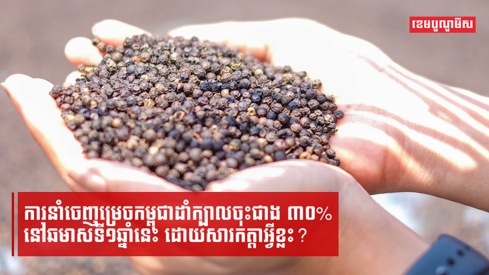 ការនាំចេញម្រេចកម្ពុជាដាំក្បាលចុះជាង ៣០% នៅឆមាសទី១ឆ្នាំនេះ ដោយសារកត្តាអ្វីខ្លះ?
