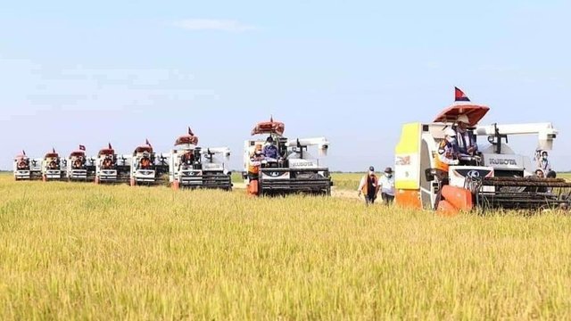 កម្ពុជានាំចេញកសិផលទៅកាន់ទីផ្សារចិនក្នុងតម្លៃជិត២ពាន់លានដុល្លារ នៅរយៈពេលជាង២ឆ្នាំចុងក្រោយនេះ