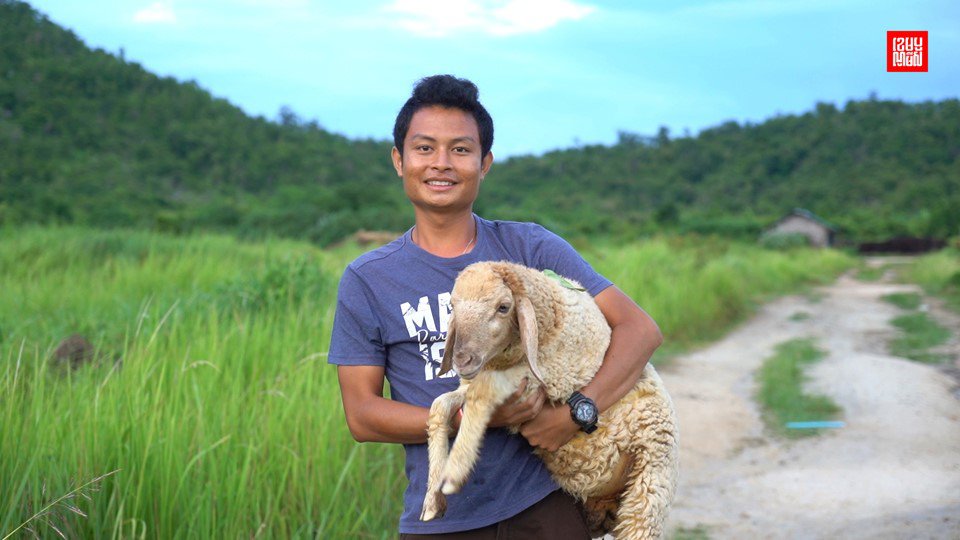 ឧកញ៉ា ម៉ុង ឫទ្ធី ទិញចៀមពីកសិដ្ឋានកូនចៀមធម្មជាតិ១០០ក្បាល ដាក់នៅក្នុងតំបន់កសិទេសចរណ៍របស់លោក នាខេត្តកំពង់ស្ពឺ