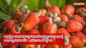 កត្តាអ្វីខ្លះបានទាញទម្លាក់ការនាំចេញគ្រាប់ស្វាយចន្ទីរបស់កម្ពុជាជាង១២%នៅឆមាសទី១ឆ្នាំនេះ?