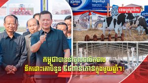 ផលិតផលទឹកដោះគោ