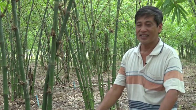 ជាងដាំពេជ្រម្នាក់នៅខេត្តបាត់ដំបង៖ មិនមែនទាល់តែអ្នករៀនផ្នែកកសិកម្ម ទើបមកធ្វើកសិកម្មបានទេ