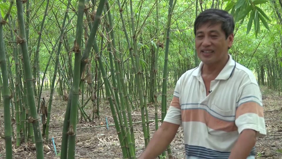 ជាងដាំពេជ្រម្នាក់នៅខេត្តបាត់ដំបង៖ មិនមែនទាល់តែអ្នករៀនផ្នែកកសិកម្ម ទើបមកធ្វើកសិកម្មបានទេ