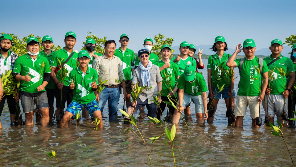 ក្រុមហ៊ុន Smart  ដាំដើមកោងកាងចំនួន ២០២១ ដើម នៅខេត្តកំពត ដើម្បីចូលរួមអភិរក្សការពារព្រៃកោងកាងនៅកម្ពុជា