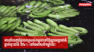 ការនាំចេញផ្លែចេកស្រស់កម្ពុជាទៅទីផ្សារអន្តរជាតិធ្លាក់ចុះជាង-២៤-នៅឆមាសទី១ឆ្នាំនេះ