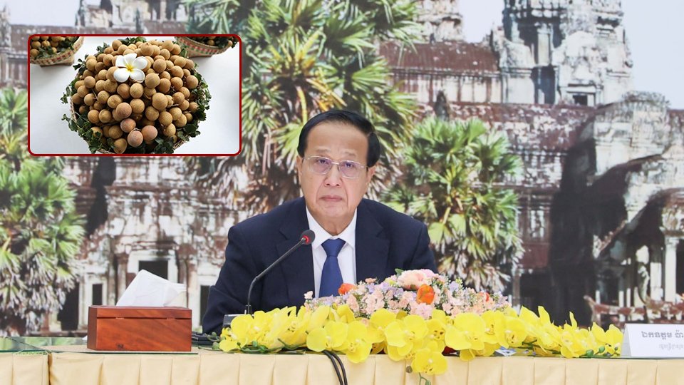 ផ្លែមៀនកម្ពុជាចំនួន ១៨ តោន លក់អស់ត្រឹមតែបីថ្ងៃប៉ុណ្ណោះ នៅលើគេហទំព័រ Alibaba