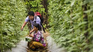 USAID ប្រកាសភាពជាដៃគូជាមួយក្រុមហ៊ុនឯកជនចំនួន៣ក្នុងវិស័យកសិកម្ម ដើម្បីជំរុញកំណើនសេដ្ឋកិច្ចនៅកម្ពុជា
