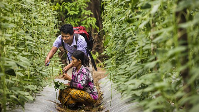 USAID ប្រកាសភាពជាដៃគូជាមួយក្រុមហ៊ុនឯកជនចំនួន៣ក្នុងវិស័យកសិកម្ម ដើម្បីជំរុញកំណើនសេដ្ឋកិច្ចនៅកម្ពុជា