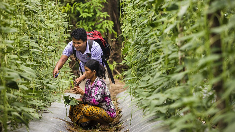 USAID ប្រកាសភាពជាដៃគូជាមួយក្រុមហ៊ុនឯកជនចំនួន៣ក្នុងវិស័យកសិកម្ម ដើម្បីជំរុញកំណើនសេដ្ឋកិច្ចនៅកម្ពុជា