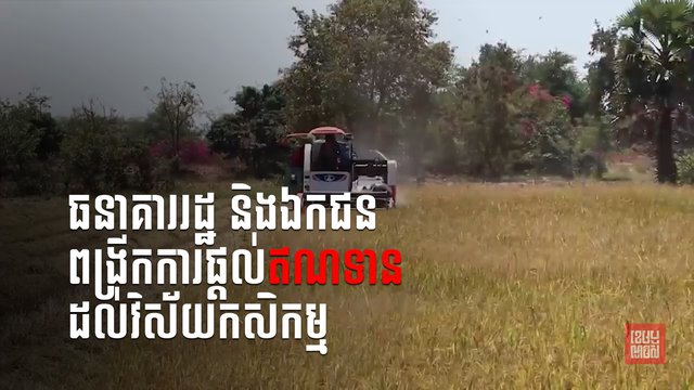 ធនាគាររដ្ឋនិង ឯកជនកំពុងពង្រីកការផ្ដល់កម្ចីមកគាំទ្រវិស័យកសិកម្មកាន់តែច្រើន