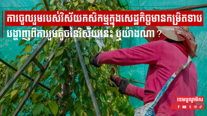 តើការចូលរួមរបស់វិស័យកសិកម្មក្នុងសេដ្ឋកិច្ចជាតិមានកម្រិតទាប បង្ហាញពីការរួមតូចនៃវិស័យនេះ ឬយ៉ាងណា?