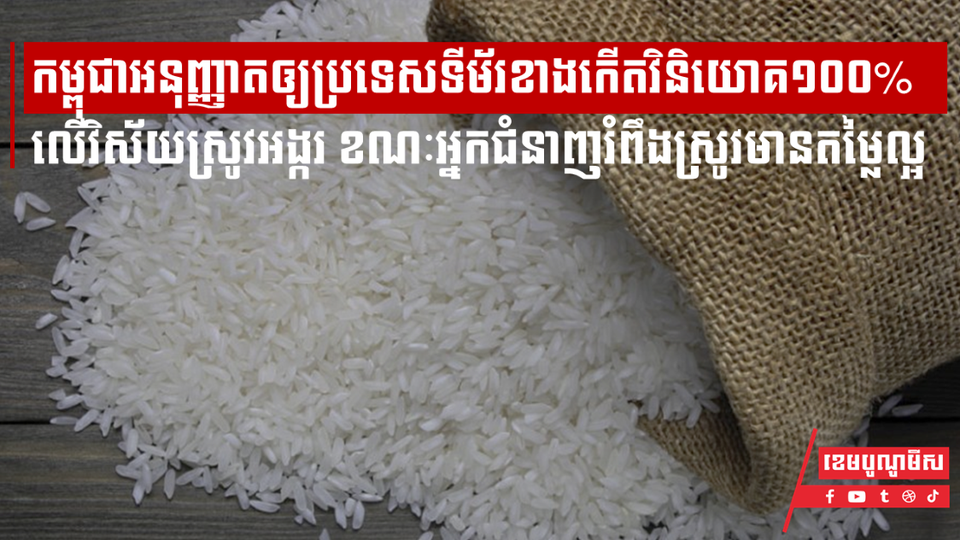 កម្ពុជាអនុញ្ញាតឲ្យប្រទេសទីម័រខាងកើតវិនិយោគ១០០% លើវិស័យស្រូវអង្ករ ខណៈអ្នកជំនាញរំពឹងស្រូវមានតម្លៃល្អ