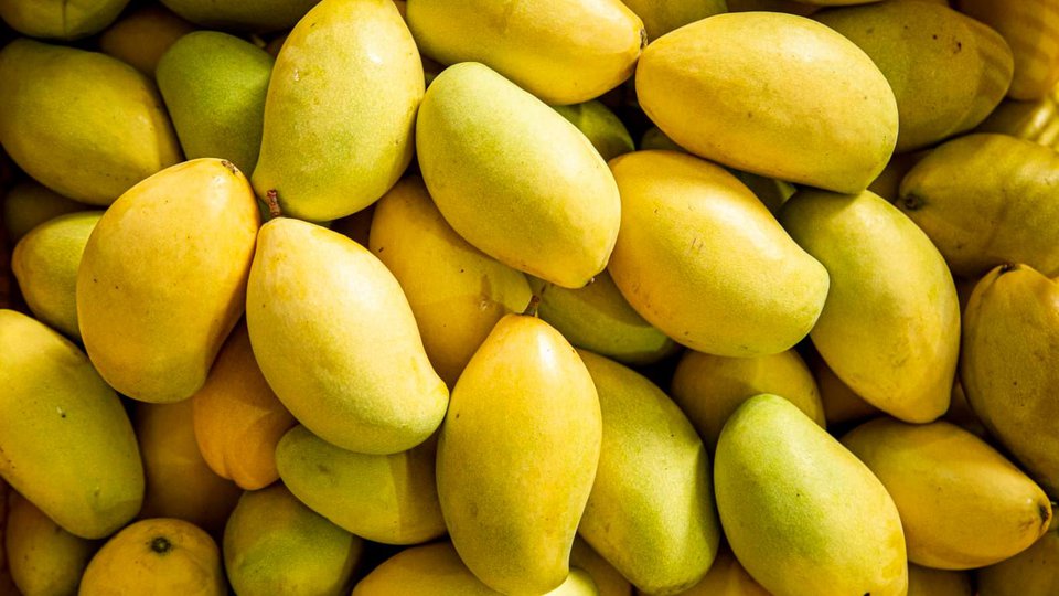 ឯកឧត្តម វេ​ង សា​ខុន រដ្ឋមន្ត្រី​ក្រសួងកសិកម្ម​រុក្ខា​ប្រមាញ់ និង​នេសាទ