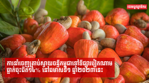 ការនាំចេញគ្រាប់ស្វាយចន្ទីកម្ពុជាទៅទីផ្សារវៀតណាម ធ្លាក់ចុះជិត១៤% នៅឆមាសទី១នេះ
