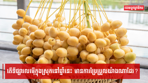 តើទីផ្សារលម៉ើក្នុងស្រុកនៅឆ្នាំនេះ មានការប្រែប្រួលយ៉ាងណាដែរ?