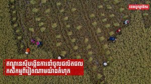ឥណ្ឌូនេស៊ីបង្កើនការនាំចូលផលិតផលកសិកម្មពីវៀតណាមយ៉ាងគំហុក