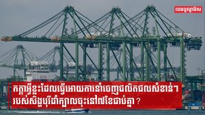 កត្តាអ្វីខ្លះដែលធ្វើអោយការនាំចេញផលិតផលសំខាន់ៗរបស់សិង្ហបុរីដាំក្បាលចុះនៅ៧ខែជាប់គ្នា ?