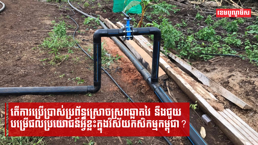 តើការប្រើប្រាស់ប្រព័ន្ធស្រោចស្រពឆ្លាតវៃ នឹងជួយបម្រើផលប្រយោជន៍អ្វីខ្លះក្នុងវិស័យកសិកម្មកម្ពុជា?