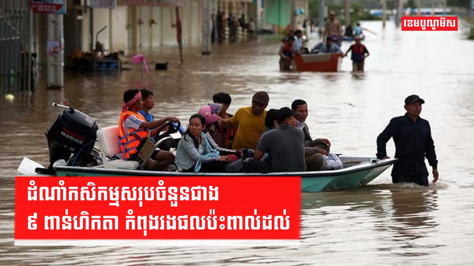 ដំណាំកសិកម្មសរុបចំនួនជាង ៩ពាន់ហិកតា កំពុងរងផលប៉ះពាល់ដល់