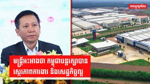 វិស័យការងារ