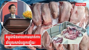 សាច់បង្កក