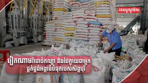 វិស័យកសិកម្ម