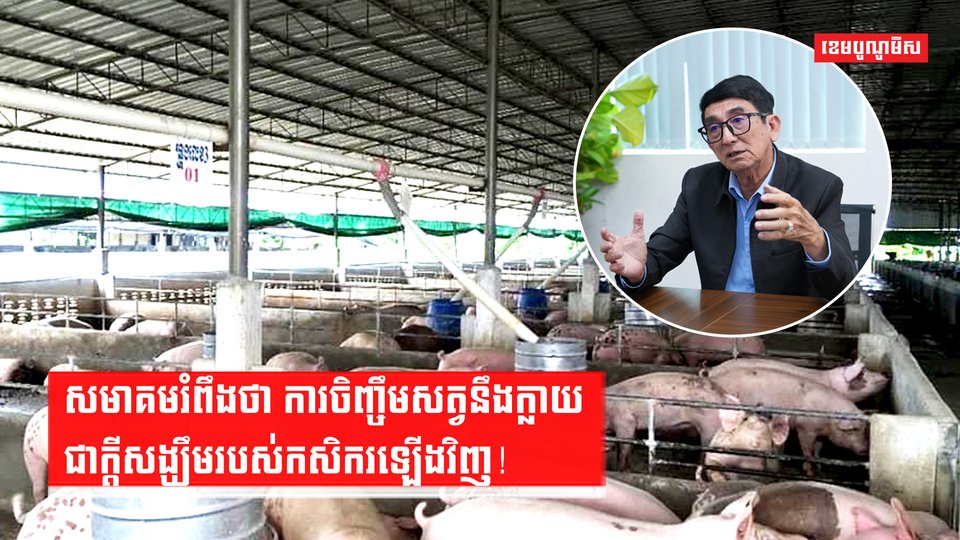វិស័យចិញ្ចឹមសត្វ