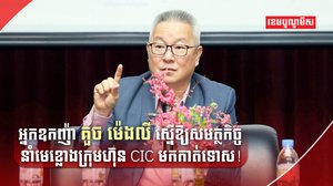 ក្រុមហ៊ុន CIC