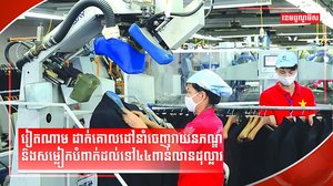 វិស័យវាយនភណ្ឌ