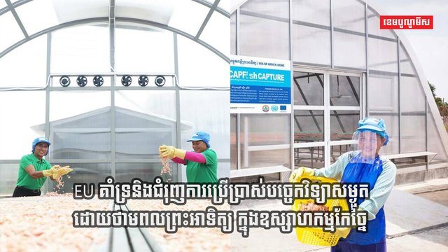 ថាមពលពន្លឺព្រះអាទិត្យ