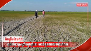 វិស័យកសិកម្ម