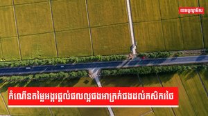 កំណើនតម្លៃអង្ករផ្តល់ផលល្អផងអាក្រក់ផងដល់កសិករថៃ