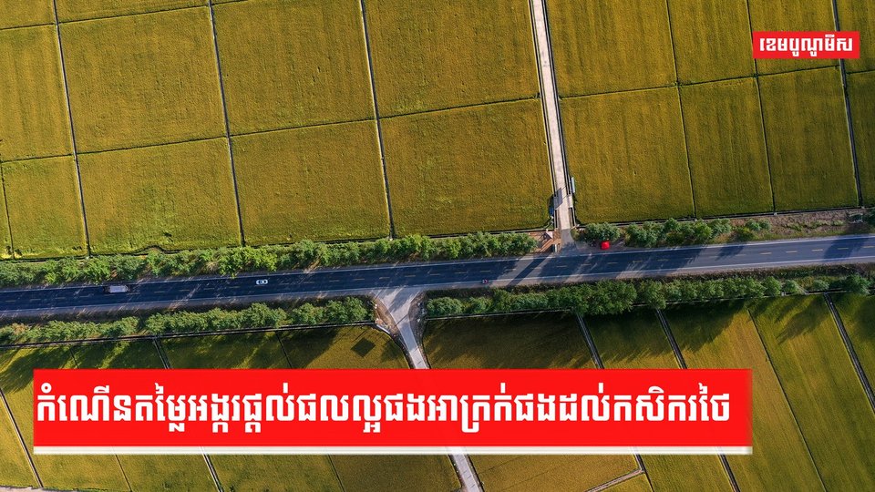កំណើនតម្លៃអង្ករផ្តល់ផលល្អផងអាក្រក់ផងដល់កសិករថៃ