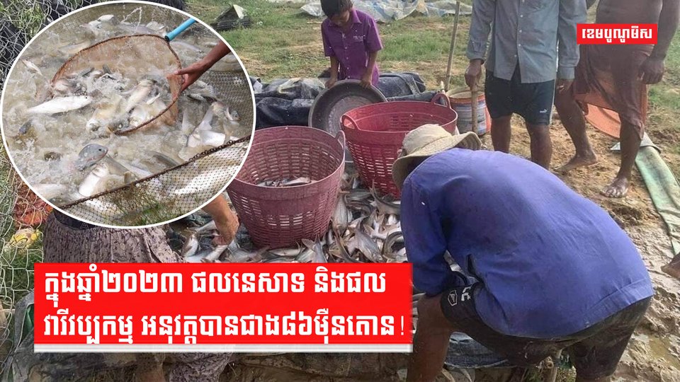 កសិករចិញ្ចឹមត្រី