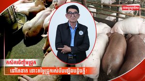 ការចិញ្ចឹមជ្រូក