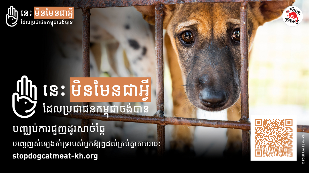 2024-10-07_DCMT Cambodia Campaign SoMe Assets_KH_16x9-