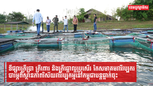 សមាគមវារីវប្បករបារម្ភវិស័យវារីវប្បកម្មអាចជួបបញ្ហាប្រឈមកាន់តែខ្លាំង