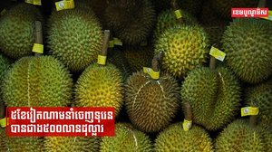 ៥ខែវៀតណាមនាំចេញទុរេនបានជាង៥០០លានដុល្លារ