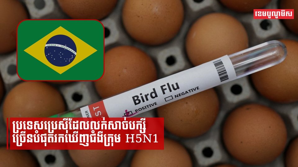 ប្រទេសប្រេស៊ីដែលលក់សាច់បក្សីច្រើនបំផុតរកឃើញជំងឺក្រុម H5N1