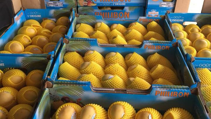 ផ្លែស្វាយកម្ពុជាត្រូវបាននាំចេញទៅកាន់ទីផ្សារអន្តរជាតិ (រូបថត៖ ហ្វេសប៊ុកឧកញ៉ា ម៉ុង ឫទ្ធី)