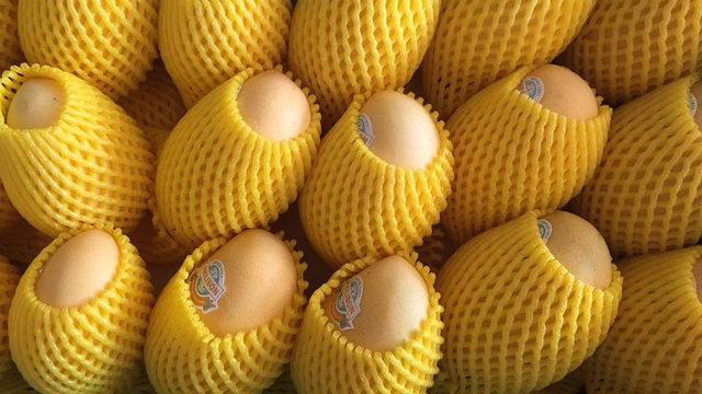 ផ្លែស្វាយកម្ពុជាត្រូវបាននាំចេញទៅកាន់ទីផ្សារអន្តរជាតិ (រូបថត៖ ហ្វេសប៊ុកឧកញ៉ា ម៉ុង ឫទ្ធី)