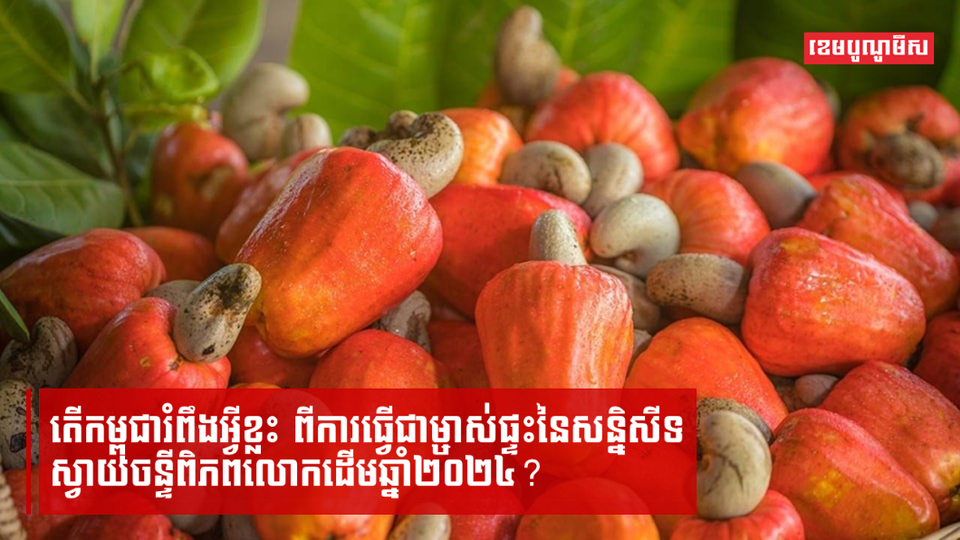 កម្ពុជានឹងធ្វើជាម្ចាស់ផ្ទះនៃសន្និសីទស្វាយចន្ទីពិភពលោកដើមឆ្នាំ២០២៤