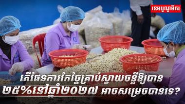 គ្រាប់ស្វាយចន្ទី