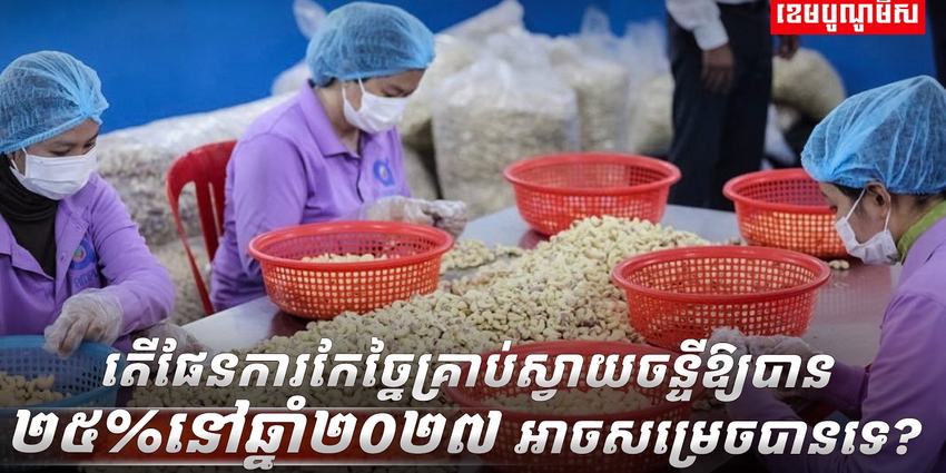 គ្រាប់ស្វាយចន្ទី