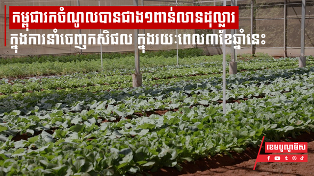 កម្ពុជារកចំណូលបានជាង១ពាន់លានដុល្លារក្នុងការនាំចេញកសិផលទៅកាន់ទីផ្សារអន្តរជាតិ ក្នុងរយៈពេល៣ខែឆ្នាំនេះ